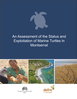 An Assessment of the Status and Exploitation of Marine Turtles in Montserrat