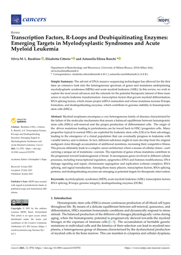 Transcription Factors, R-Loops and Deubiquitinating Enzymes: Emerging Targets in Myelodysplastic Syndromes and Acute Myeloid Leukemia