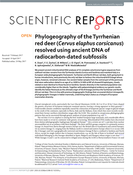 Phylogeography of the Tyrrhenian Red Deer (Cervus Elaphus