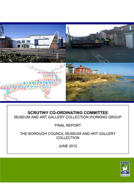 Scrutiny Co-Ordinating Committee - Museum and Art Gallery Collection Working Group