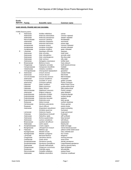 Plant Species of 3M Cottage Grove Prairie Management Area