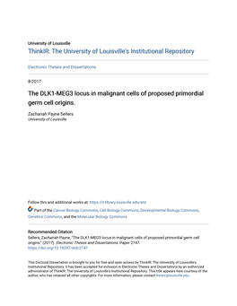 The DLK1-MEG3 Locus in Malignant Cells of Proposed Primordial Germ Cell Origins