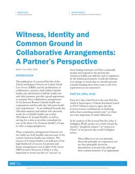 Witness, Identity and Common Ground in Collaborative Arrangements: a Partner’S Perspective