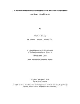 Can Mindfulness Enhance Connectedness with Nature? the Case of In-Depth Nature