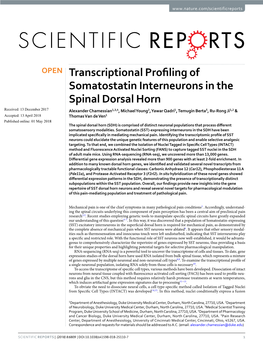 Transcriptional Profiling of Somatostatin Interneurons
