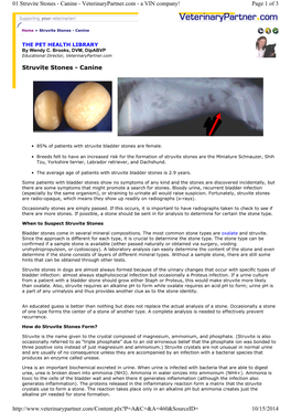 Canine Bladder Stones (Struvite)