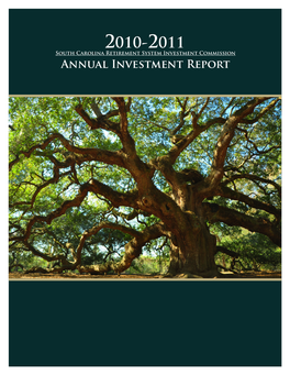 Annual Investment Report