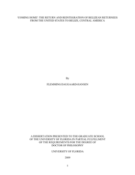 University of Florida Thesis Or Dissertation Formatting