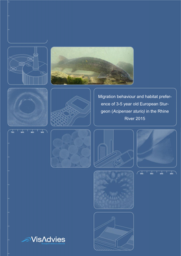 Ence of 3-5 Year Old European Stur- Geon (Acipenser Sturio) in the Rhine River 2015 Statuspage