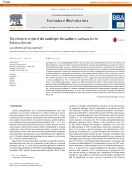 The Chimeric Origin of the Cardiolipin Biosynthetic Pathway in the Eukarya Domain