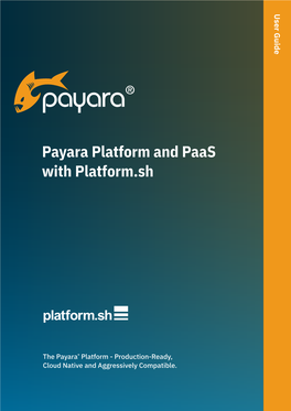 Payara and Paas with Platform.Sh.Pdf