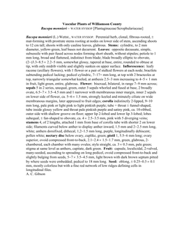 Vascular Plants of Williamson County Bacopa Monnieri − WATER HYSSOP [Plantaginaceae/Scrophulariaceae]