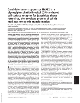 Candidate Tumor Suppressor HYAL2 Is a Glycosylphosphatidylinositol (GPI