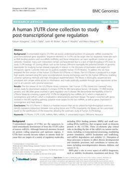 UTR Clone Collection to Study Post-Transcriptional Gene Regulation Kasuen Kotagama1, Cody S