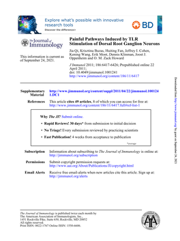 Neurons Stimulation of Dorsal Root Ganglion Painful Pathways Induced