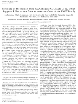 Structure of the Human Type XIX Collagen (COL19A1) Gene, Which