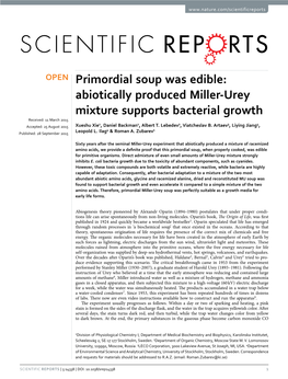 Primordial Soup Was Edible: Abiotically Produced Miller-Urey Mixture