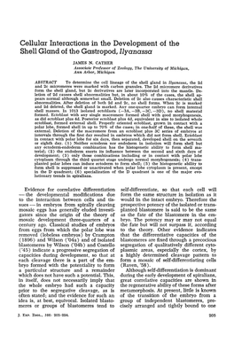 Cellular Interactions in the Development of the Shell Gland of the Gastropod, Ilyc~Nc~Ssa