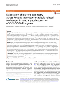 Elaboration of Bilateral Symmetry Across Knautia Macedonica Capitula Related to Changes in Ventral Petal Expression of CYCLOIDEA‑Like Genes Brent A