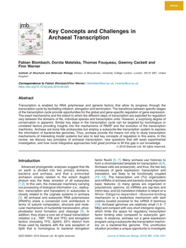 Key Concepts and Challenges in Archaeal Transcription