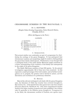 Chromosome Numbers in the Malvaceae. I