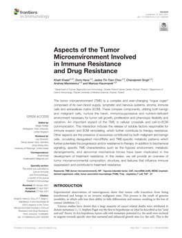 Aspects of the Tumor Microenvironment Involved in Immune Resistance and Drug Resistance