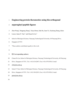 Engineering Protein Theranostics Using Bio-Orthogonal Asparaginyl