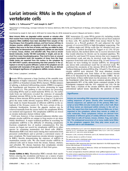 Lariat Intronic Rnas in the Cytoplasm of Vertebrate Cells