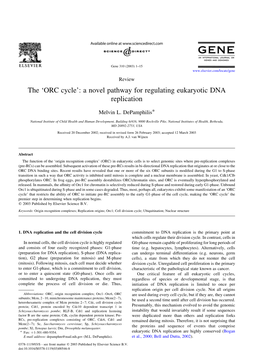 The 'ORC Cycle': a Novel Pathway for Regulating Eukaryotic DNA Replication