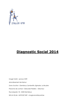 Diagnostic Social 2013