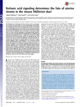 Retinoic Acid Signaling Determines the Fate of Uterine Stroma in the Mouse Müllerian Duct