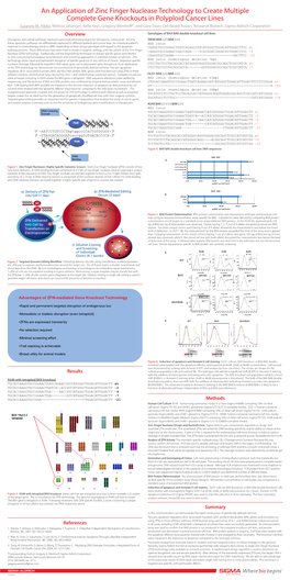 An Application of Zinc Finger Nuclease Technology to Create Multiple Complete Gene Knockouts in Polyploid Cancer Lines Suzanne M