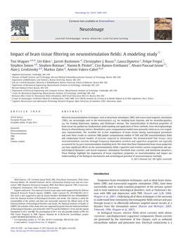 Impact of Brain Tissue Filtering on Neurostimulation Fields