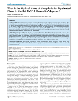 What Is the Optimal Value of the G-Ratio for Myelinated Fibers in the Rat CNS? a Theoretical Approach