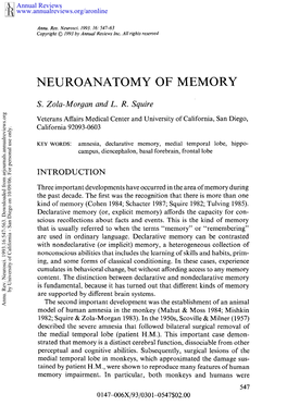 Neuroanatomy of Memory