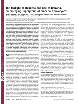 The Twilight of Heliozoa and Rise of Rhizaria, an Emerging Supergroup of Amoeboid Eukaryotes