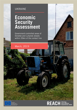 Economic Security Assessment