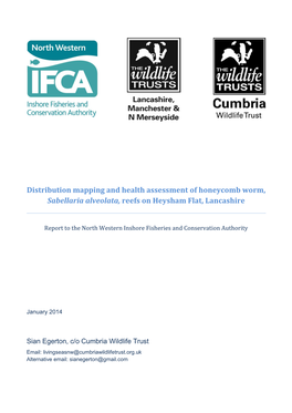 Distribution Mapping and Health Assessment of Honeycomb Worm, Sabellaria Alveolata, Reefs on Heysham Flat, Lancashire