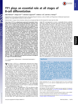 YY1 Plays an Essential Role at All Stages of B-Cell Differentiation