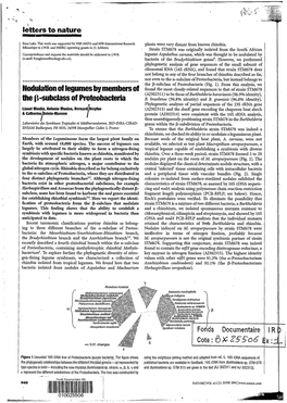 Nodulation of Legumes by Members of the Bêta-Subclass of Proteobacteria