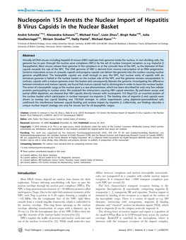 Nucleoporin 153 Arrests the Nuclear Import of Hepatitis B Virus Capsids in the Nuclear Basket