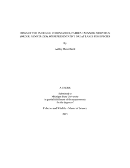 Risks of the Emerging Coronavirus, Fathead Minnow Nidovirus (Order: Nidovirales ), on Representative Great Lakes Fish Species