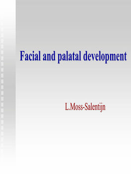 Facial and Palatal Development