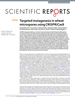 Targeted Mutagenesis in Wheat Microspores Using CRISPR/Cas9