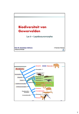 Biologie II: Biodiversiteit En Evolutie