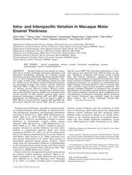 Intra and Interspecific Variation in Macaque Molar Enamel Thickness