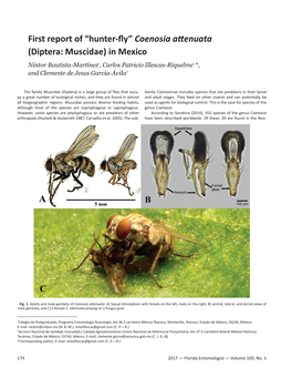 “Hunter-Fly” Coenosia Attenuata (Diptera: Muscidae) in Mexico Néstor Bautista-Martínez1, Carlos Patricio Illescas-Riquelme1,*, and Clemente De Jesus García-Ávila2