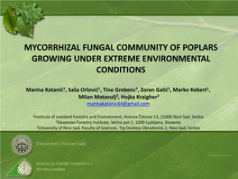 Mycorrhizal Fungal Community of Poplars Growing Under Extreme Environmental Conditions