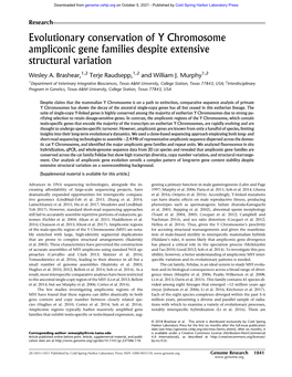 Evolutionary Conservation of Y Chromosome Ampliconic Gene Families Despite Extensive Structural Variation