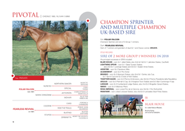 Champion Sprinter and Multiple Champion UK-BASED Sire